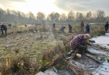 Help mee met bomen oogsten en planten