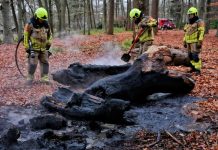 Vermoedelijk brandstichting in Oisterwijkse bossen