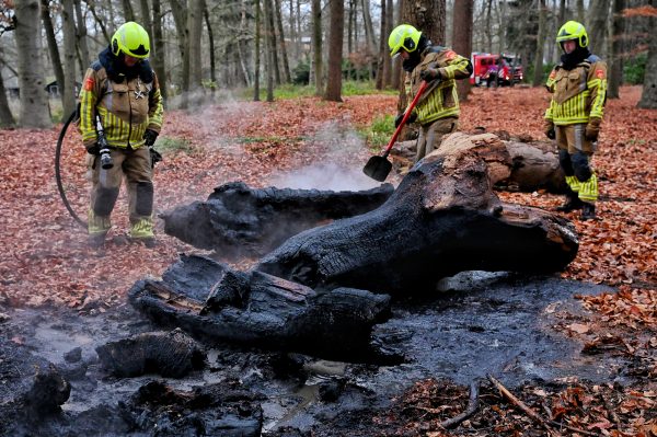 Vermoedelijk brandstichting in Oisterwijkse bossen