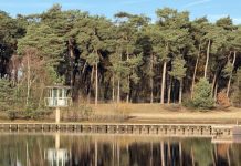 Red ‘de Oisterwijkse Badmeester’ van de verdrinkingsdood