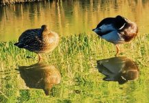 O’ wat ben je mooi