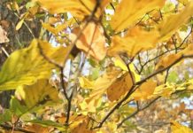 O’ wat ben je mooi