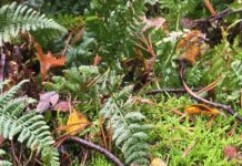 O’ wat ben je mooi