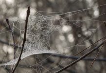 O’ wat ben je mooi