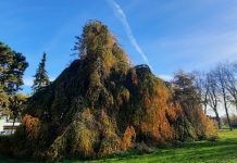 O’ wat ben je mooi