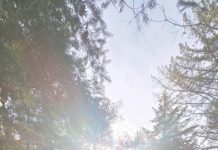 O’ wat ben je mooi