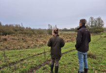 Overstromingsvlakte Kampina door Natuurmonumenten aangepakt