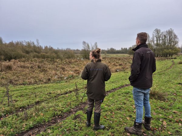 Overstromingsvlakte Kampina door Natuurmonumenten aangepakt
