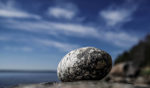 De perfecte zwerfkei vinden: waar moet je op letten? *