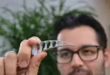 Lezing over Biomimicry door Bas Sanders bij IVN Oisterwijk