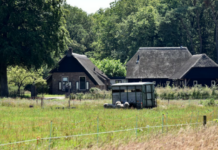 Zo maak je de camping bij je boerderij aantrekkelijk voor jonge gezinnen *