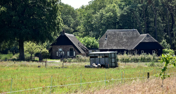Zo maak je de camping bij je boerderij aantrekkelijk voor jonge gezinnen *