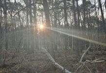 O’ wat ben je mooi