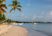 Welke documenten heb je nodig voor een reis naar het Caribisch gebied in 2026? *