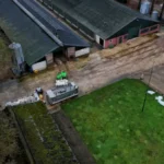 Kalkoenen van Oisterwijks pluimveebedrijf worden geruimd.