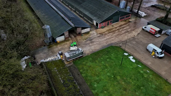 Kalkoenen van Oisterwijks pluimveebedrijf worden geruimd. 