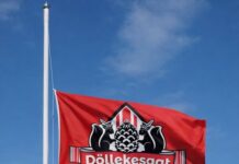 Vlaggen zondag in Oisterwijk halfstok