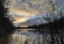 O’ wat ben je mooi