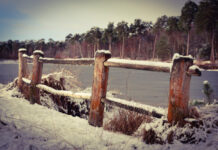 Koud hé? Een jeugdactiviteit van IVN Oisterwijk