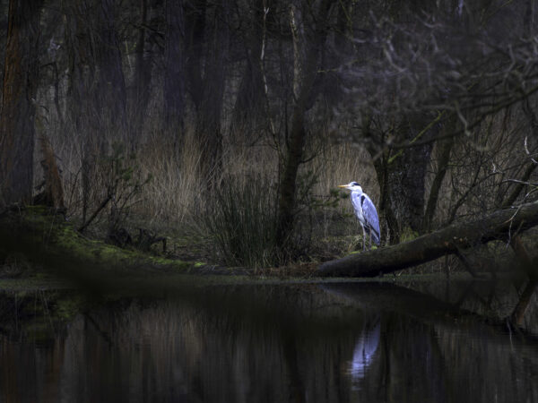 Fototentoonstelling FOMO werd goed bezocht en is nog online te zien