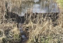 O’ wat ben je mooi