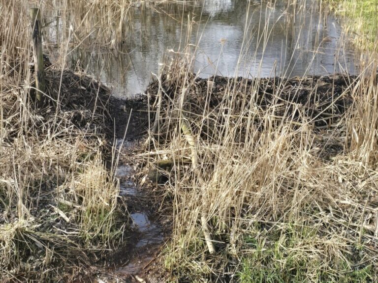 O’ wat ben je mooi