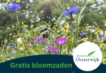 Gratis bloemenzaad voor alle inwoners