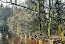 O’ wat ben je mooi