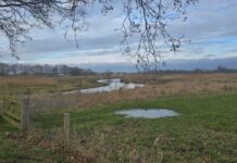 O’ wat ben je mooi