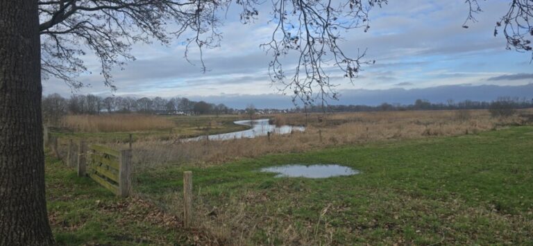 O’ wat ben je mooi