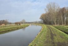 O’ wat ben je mooi