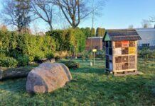 Voorjaar in het parkje van Scouting Moergestel Voorjaar in het parkje van Scouting Moergestel