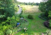 IVN en B-team Oisterwijk doen mee aan alliantie natuur