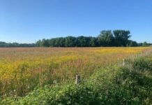 Wandel door de Duurzaamheidsvallei in de Week van de Biodiversiteit Wandel door de Duurzaamheidsvallei in de Week van de Biodiversiteit