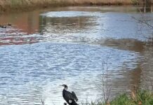 O’ wat ben je mooi O’ wat ben je mooi