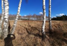 O’ wat ben je mooi O’ wat ben je mooi