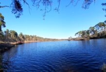 O’ wat ben je mooi O’ wat ben je mooi