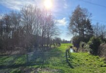 O’ wat ben je mooi O’ wat ben je mooi