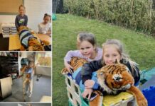 Oisterwijkse rugby Oysters winnen veel! (+ Film) Oisterwijkse rugby Oysters winnen veel! (+ Film)