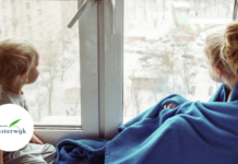 Gemeente Oisterwijk: Warmtepanel voor huiseigenaren – praat mee! Gemeente Oisterwijk: Warmtepanel voor huiseigenaren – praat mee!