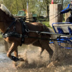 Spectaculaire menwedstrijden in Heukelom