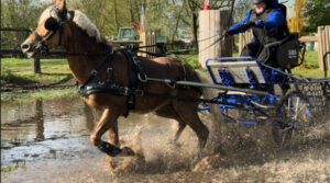 Spectaculaire menwedstrijden in Heukelom