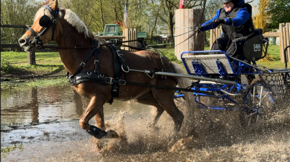 Stadsdichter: Mensport wedstrijd Heukelom