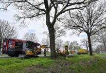 Boom in brand na eerder ongeval N65 Oisterwijk Boom in brand na eerder ongeval N65 Oisterwijk