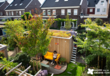 Maand van de Groene Tuin: laat onkruid staan! Maand van de Groene Tuin: laat onkruid staan!