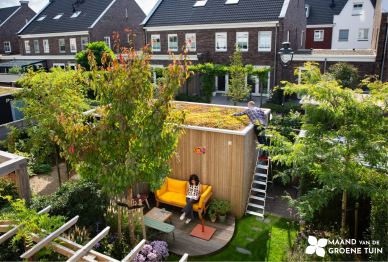 Maand van de Groene Tuin: laat onkruid staan!
