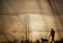 Kwetsbaar Beeld in De Verdieping Moergestel Kwetsbaar Beeld in De Verdieping Moergestel