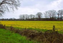 O’ wat ben je mooi O’ wat ben je mooi