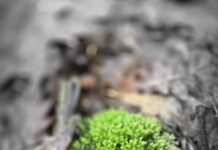 O’ wat ben je mooi O’ wat ben je mooi