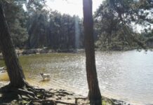 O’ wat ben je mooi O’ wat ben je mooi